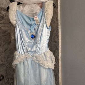 Adult Disney Cinderella Costume